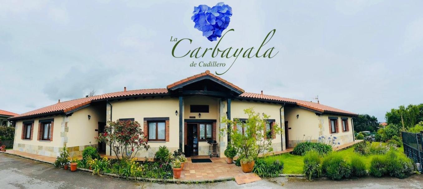 Apartamentos Rurales La Carbayala Oviñana Екстериор снимка