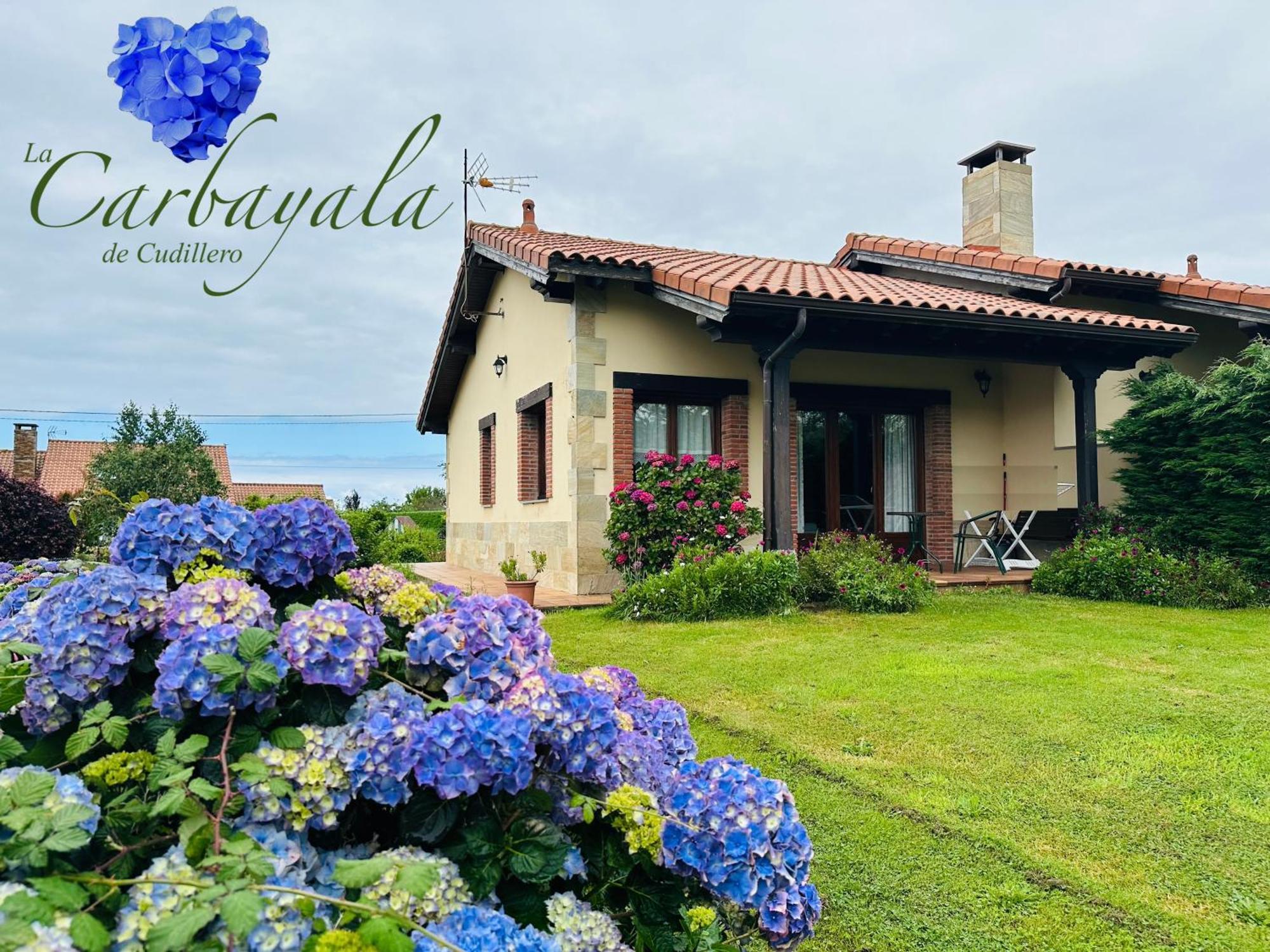 Apartamentos Rurales La Carbayala Oviñana Екстериор снимка