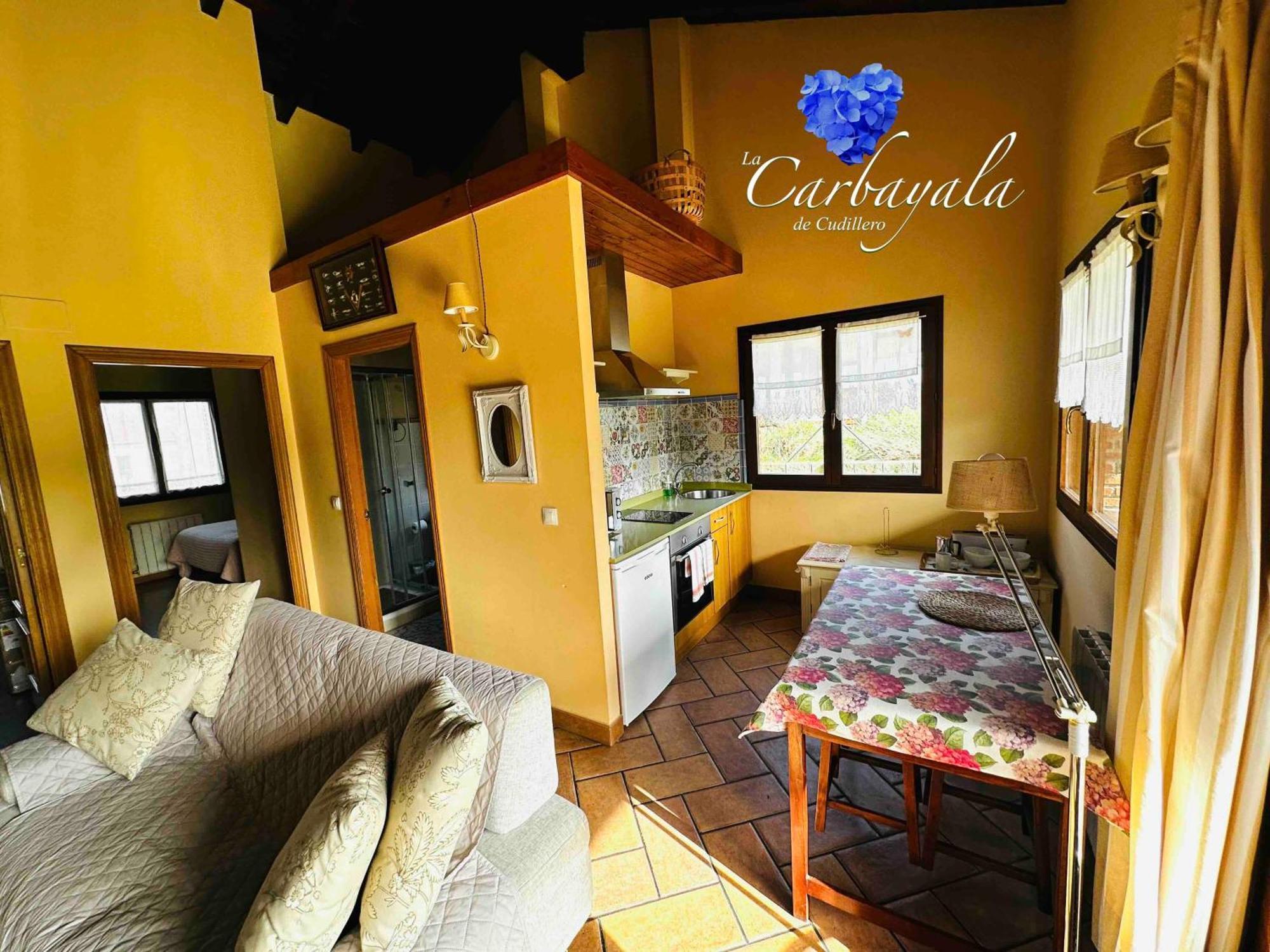 Apartamentos Rurales La Carbayala Oviñana Екстериор снимка