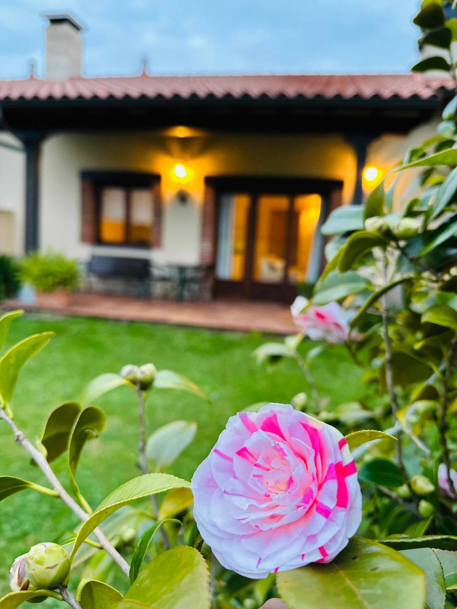 Apartamentos Rurales La Carbayala Oviñana Екстериор снимка